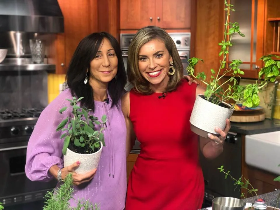 A Lesson About Herbs